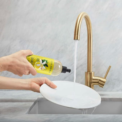 Caldrea Dish Soap, Biodegradable Dishwashing Liquid made with Soap Bark and Aloe Vera, Sea Salt Neroli, 16 oz