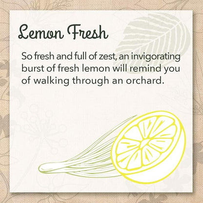EcoMe Stainless Steel Polish, Multi-Surface Cleaner, Lemon Fresh, 16 oz