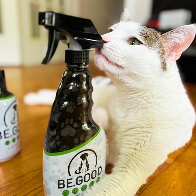 Pet Odor Eliminator Spray for Dog & Cat Urine – Powerful Odor Remover for Carpet, Couch, Upholstery & Car – Natural Non-Toxic, Long Lasting Fresh Scent – 16oz (Citrus Agave)
