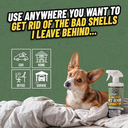 Chemical Guys Ghosted Pet Odor Eliminator 16 Oz Pet Smell Neutralizer for Car Interior, Carpet, Upholstery, Fabric Seats, Home, Furniture, Citrus Scent Spray Cleaner