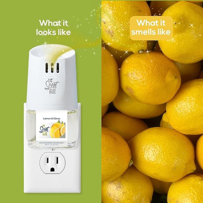 Scent Fill 100% Natural Lemon & Citrus Plug in Air Freshener, Scented Oil Refills, 2 Refills + Diffuser