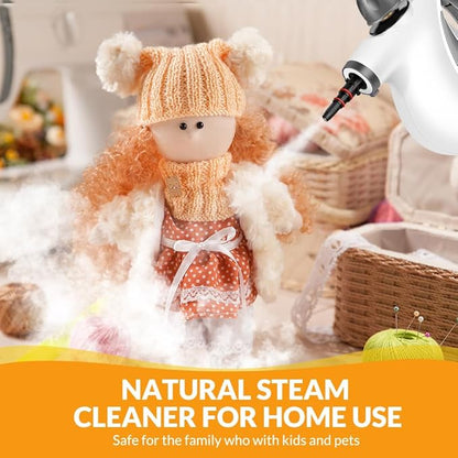 Handheld Pressurized Steam Cleaner with 12 pcs Accessories, Steamer for Cleaning, Steam Cleaner for Home Use, Steamer for Cleaning Car, Furniture, Floor, Upholstery, Grout and Tile, Deep Gray