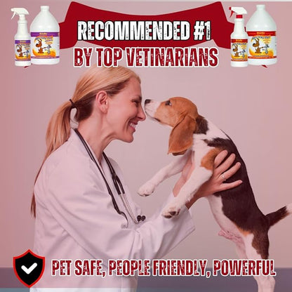 Mister Max Anti Icky Poo Pet Urine Enzyme Cleaner & Feces Odor Remover, Enzymatic Cleaner for Dog & Cat Urine, Pet Odor Remover Spray, 1 Gallon (Original Scent)