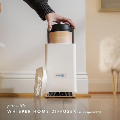 ScentAir Whisper Home Monthly Plug-in Refill, Fragrance Cartridge for Home and Office, Amazon Exclusive, Mandarin Nectar