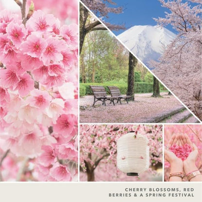 Yankee Candle Mini Jar, Sakura Blossom Festival Scented Candles, Premium Soy Wax Blend for Long Lasting Home Fragrance and Stress Relief, Gift Set for Women and Men, 1.3 Ounce (Pack of 12)