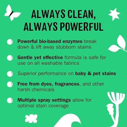 Molly's Suds Stain Remover Spray | Gentle Yet Powerful, Great for Baby & Pet Stains | Clean, Simple Ingredients (Fragrance Free) (3 Fl Oz (Pack of 3))