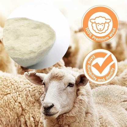 100% Pure New Zealand Wool Dryer Balls, 6-Pack - Natural Fabric Softener Alternative, Reduce Static, Soften Clothes, Shorten Drying Time & Absorb Lint (White)