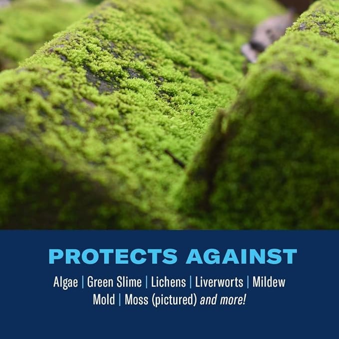 BioAdvanced 2-in-1 Moss and Algae Killer for Lawns, Moss Killer for Roofs, Patios, Decks, and Deck Cleaner, 32 oz