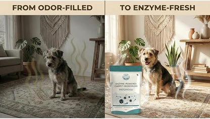 Enzyme-Powered Carpet Deodorizer (Powder) - Patchouli | Natural Pet Odor Eliminator | Bio-Enzymatic Formula, Premium Performance, Eco Friendly | 16 oz