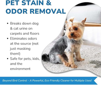 Bird Barrier Dissolve-It Max Enzyme Cleaner - Bird Dropping Cleaner - Dissolves Waste – Treat Affected Areas Before Installing Bird Control Products - Cleans pet stains - 1 Pint Makes 1/2 Gallon