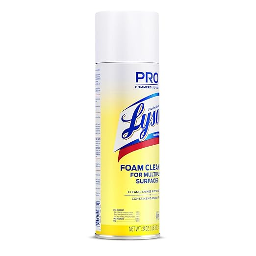 Lysol Professional Foam Cleaner for Multiple Surfaces, 24 Ounce