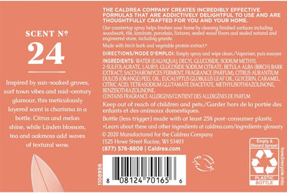 Caldrea Multi-surface CounterTop Spray Cleaner, Made With Vegetable Protein Extract, Tangelo Palm Frond Scent, 16 Oz