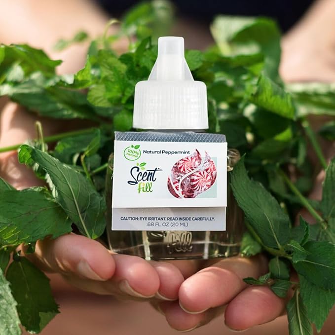 Scent Fill 100% Natural Fresh Peppermint Plug in Starter Kit, 4 Refills & Diffuser