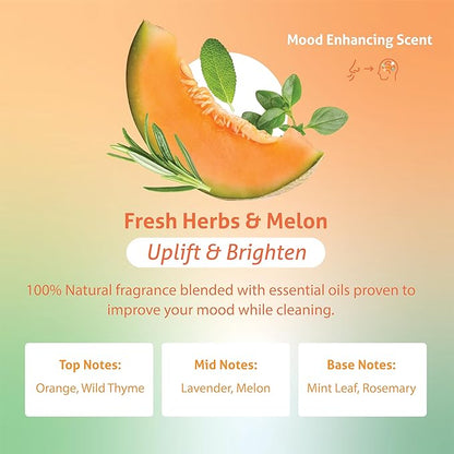Therapy Clean Plant Based Dish Soap Liquid - Fresh Herbs & Melon fl. 16 oz - Non Toxic Dish Soap Liquid, All Natural Scent, Organic Dishwashing Cleaner and Detergent for Kitchen