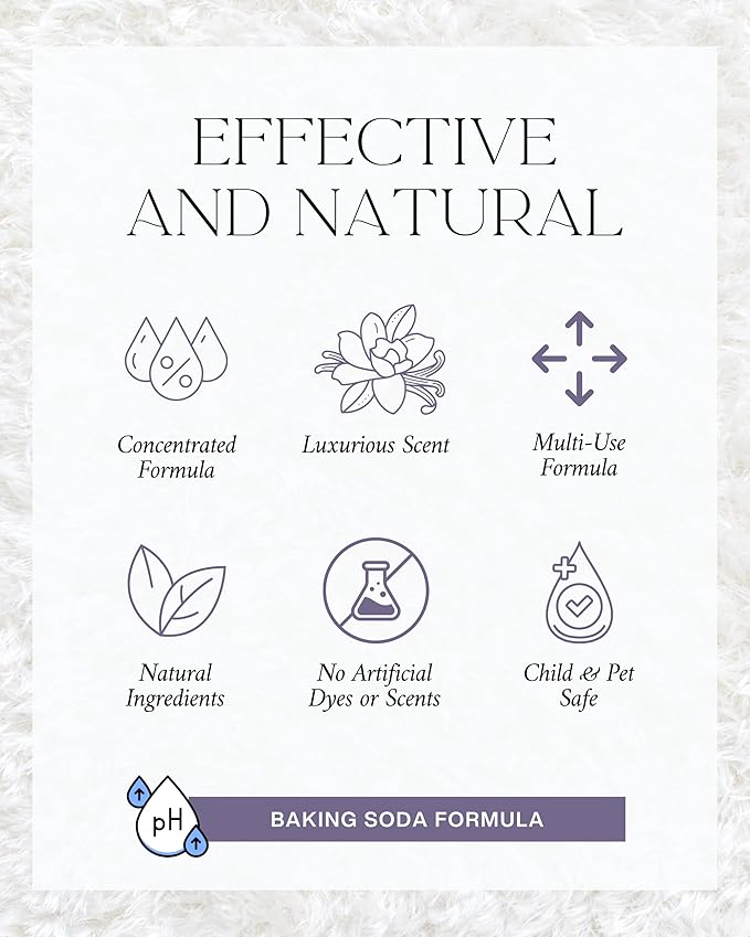 Home Noir Luxe Carpet Deodorizer Powder - Natural Odor Eliminator for Carpet, Upholstery, Pet Urine - Pet-Friendly - Black Plum, Sea Salt & Ozone Scent, Spring Cleaning