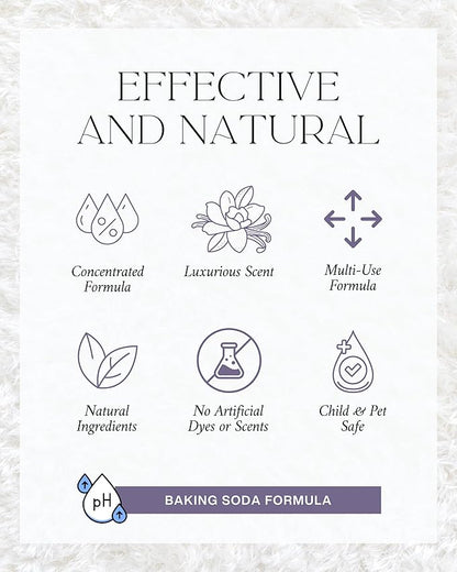 Home Noir Luxe Carpet Deodorizer Powder - Natural Odor Eliminator for Carpet, Upholstery, Pet Urine - Pet-Friendly - Black Plum, Sea Salt & Ozone Scent, Spring Cleaning