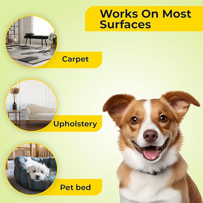 Aromasong 100% Natural Carpet Deodorizer Powder Citrus – 2 Pack, (13 oz Each) – Pet-Safe Carpet Freshener Powder – Eliminator of Strong Odors & Pet Urine – Improved Formula