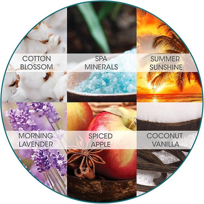 Fresh Products ourfreshe Plug In Air Freshener 30 Day Refills Replace Messy Aerosols with Dry Fragrance For Use in Medium Sized Spaces Variety Scent 6 Pack