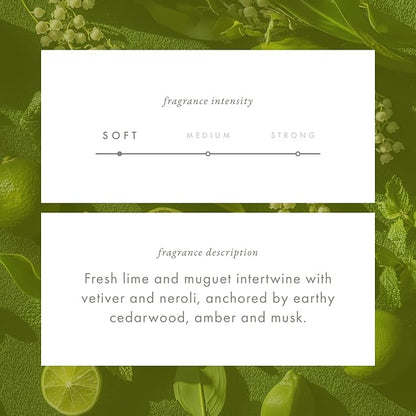 ScentAir Whisper Home Monthly Plug-in Refill, Fragrance Cartridge for Home and Office, Amazon Exclusive, Sparkling Lime & Mint