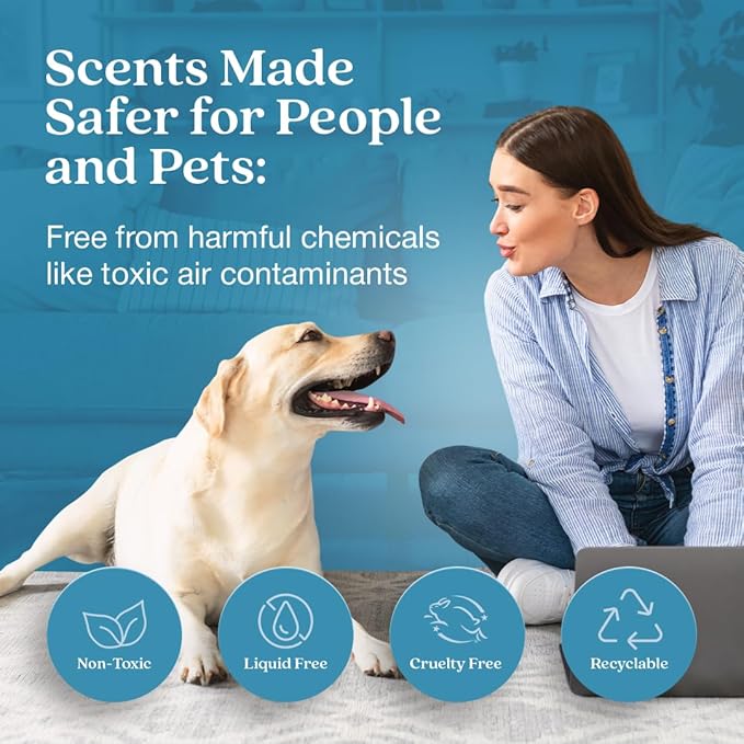 Enviroscent Non-Toxic Air Freshener Paper Refills - Compatible with Enviroscent Plug Hub® Warmer Kit - Home Fragrance Lasts Up to 90 Days - Rainwater & Bamboo Scent (Pack of 2)