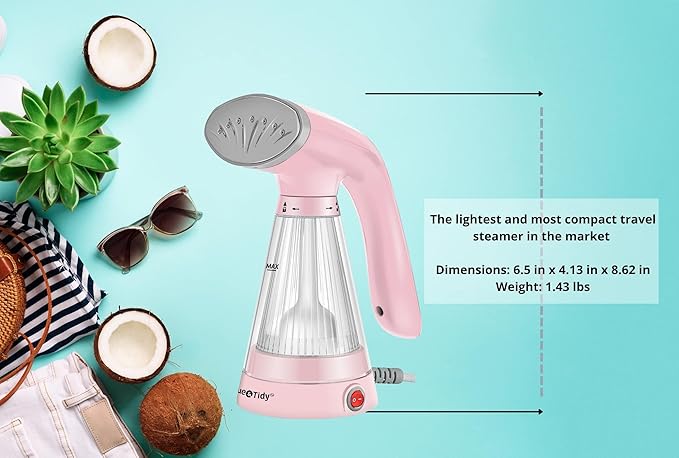 True & Tidy TidySteam Handheld Garment Steamer with Stainless Steel Steam Plate, 600 watts (Handheld Steamer, Pink)