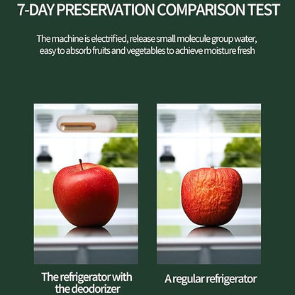 Fridge Deodorizer Odor Eliminator – Powerful Odor Eliminator & Freshness Preserver For Refrigerator, No Filter Replacement–Odor Control For Kitchen, Freezer & Food Storage (Silver)
