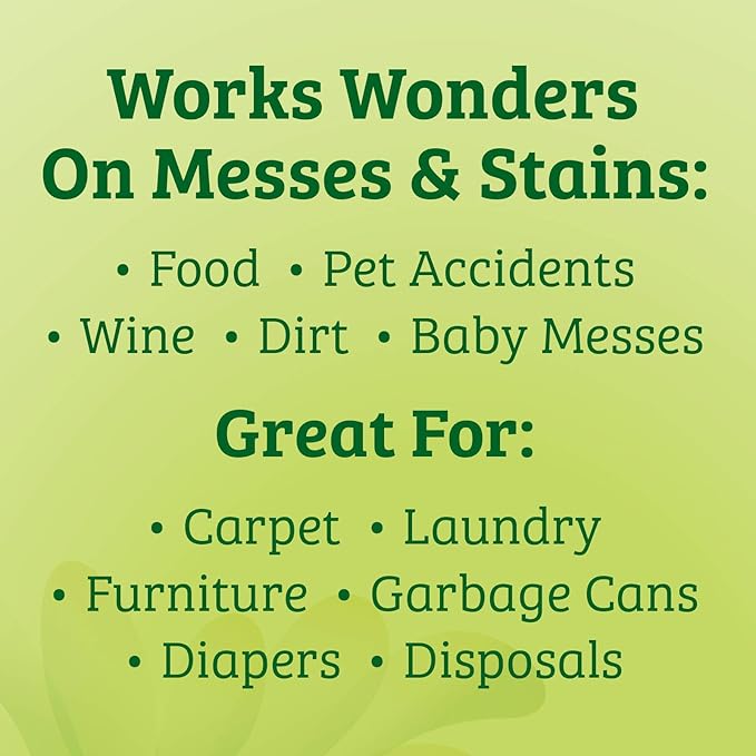 Biokleen Bac-Out Stain+Odor Remover, Destroys Stains & Odors Safely, for Pet Urine, Laundry, Diapers, Wine, Carpets, More, Eco-Friendly, Non-Toxic, Plant-Based, 32 Ounces (Pack of 2)