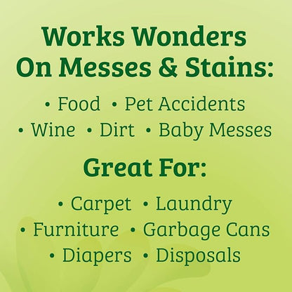 Biokleen Bac-Out Stain+Odor Remover, Destroys Stains & Odors Safely, for Pet Urine, Laundry, Diapers, Wine, Carpets, More, Eco-Friendly, Non-Toxic, Plant-Based, 32 Ounces (Pack of 2)