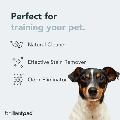 BrilliantPad TidyShot Pet Stain Remover & Odor Eliminator Spray | Natural Enzyme Cleaner, Cleans Cat & Dog Urine, Safe on Carpet & All Surfaces in Home for Pee | Advanced Professional Strength | 4 oz