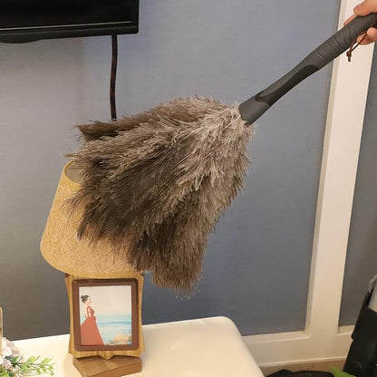 Gray Ostrich Feather Duster with 71 Inch Extendable Pole, Microfiber Duster for Home Cleaning