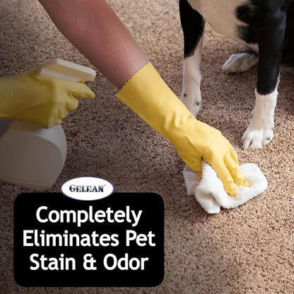 Multi-Purpose Probiotic Enzyme Cleaner, Made in USA - Pet Stain and Odor Remover - Concentrated - Professional & Home Strength Drains, Floors, Bathrooms, Toilets Trash Can, (1 gallon, Fresh fragrance)