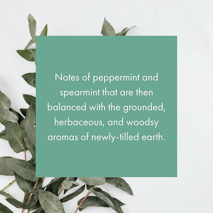 ScentAir Whisper Home Monthly Plug-in Refill, Fragrance Cartridge for Home and Office, Eucalyptus Mint