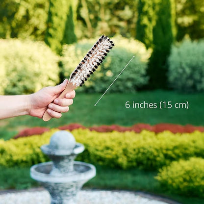 Carpet Cleaning Brush, Scrub Brush with Handle for Floor Mats, Heavy Duty Carpet Cleaner Brush, Rug Brush, Upholstery Brush for Indoor and Outdoor, Stiff Nylon Bristles Car Carpet Brush, White
