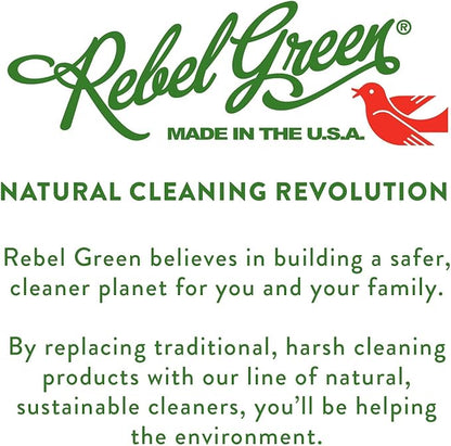 Rebel Green Super Deluxe Dish Soap - Plant-Derived Sustainable Dishwashing Soap - Peppermint & Lemon Scent - 16 fl oz - 2 Pack