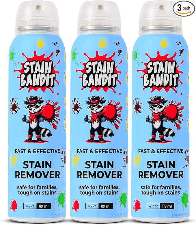 Stain Remover Spray | Non-Toxic Stain Remover Family Safe Formula | Bag-On-Valve 360° Continuous Spray Bottle | Cleaner for Clothes, Upholstery, Carpet & Car Seats 4.2 Oz, (Pack of 3)