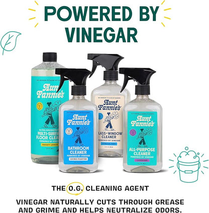 Aunt Fannie's Natural Cleaning Vinegar Wipes, Multipurpose Surface Cleaner, Eucalyptus Scent, 35 Count (Pack of 1)