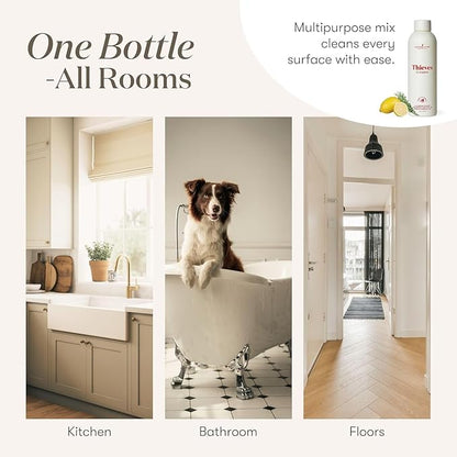 Young Living Thieves Household Cleaner | Plant-Based Multi Purpose Spray for Kitchen & Home | Eco Friendly All Purpose Surface Cleaner Concentrate 14.4 fl oz (2-Pack)
