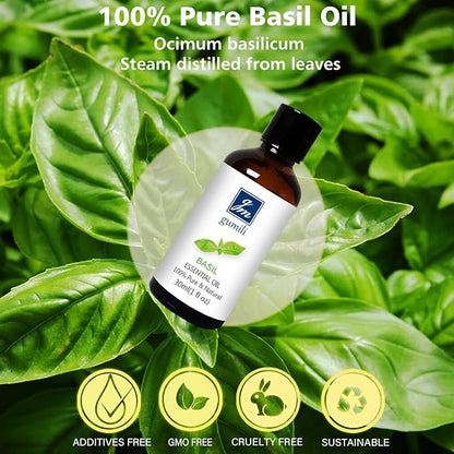 GM Gumili Basil Essential Oil 1 Oz – 100% Pure Natural Basil Oil for Diffuser, Skin, Massage & DIY, Fresh Herbaceous Aroma