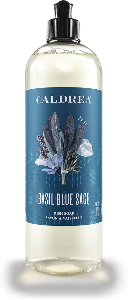 Caldrea Dish Soap, Biodegradable Dishwashing Liquid made with Soap Bark and Aloe Vera, Basil Blue Sage Scent, 16 oz
