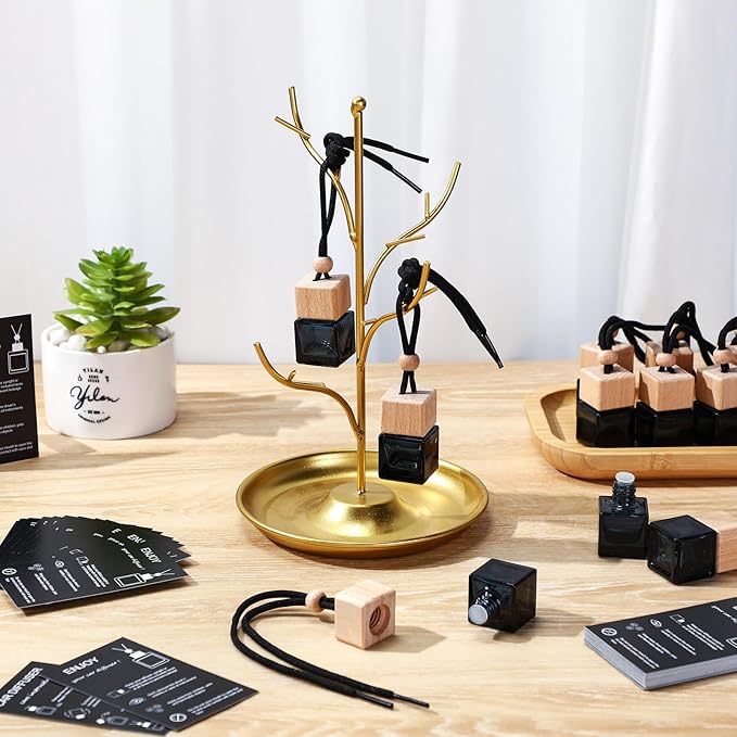 DaisyInner 150 Sets Car Diffuser Bottles Empty Bulk Hanging Car Air Freshener Diffuser Bottles Bulk Glass Perfume Holder with Instruction Cards for Essential Oil Fragrance Pendant(Square,Black)