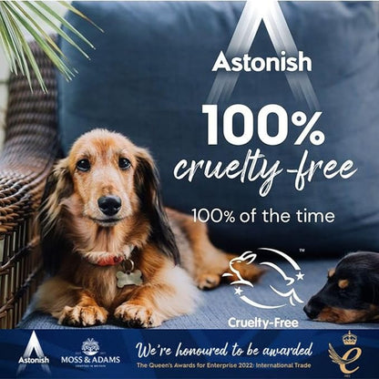 Astonish Specialist Oven & Grill Cleaner & Sponge, 250g – Heavy Duty Degreaser Paste with Orange Oil – Restores Shine to Ovens, Grills & Racks – No Harsh Chemicals, 3 Pack