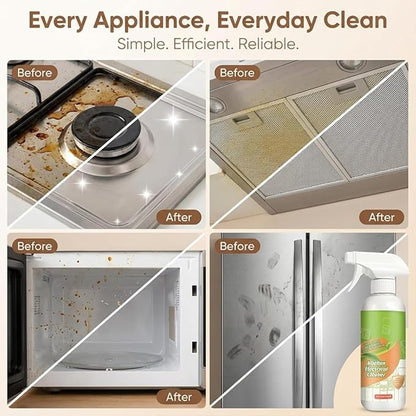Electrolyzed Ion Kitchen Cleaner Spray, Electrolyzed Ion Kitchen Spray, Multipurpose Home & Kitchens Cleaner Sprays, for Oven, Stove, Range Hood, Easy Cleaning Household Items (2PCS)