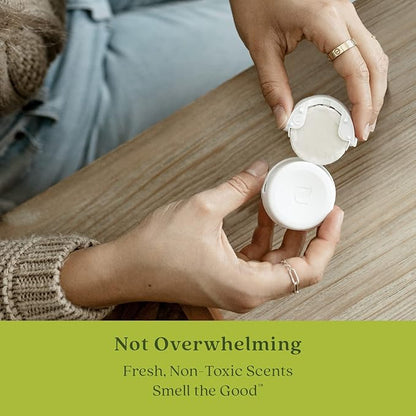Enviroscent Non-Toxic Air Freshener Paper Refills - Compatible with Enviroscent Plug Hub® Warmer Kit - Home Fragrance Lasts Up to 90 Days - Sea Salt & Aloe Scent (Pack of 2)