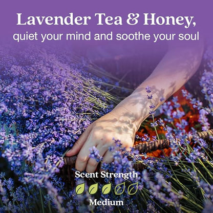 Enviroscent Non-Toxic Air Freshener Paper Refills - Compatible with Enviroscent Plug Hub® Warmer Kit - Home Fragrance Lasts Up to 90 Days - Lavender Tea & Honey Scent (Pack of 2)