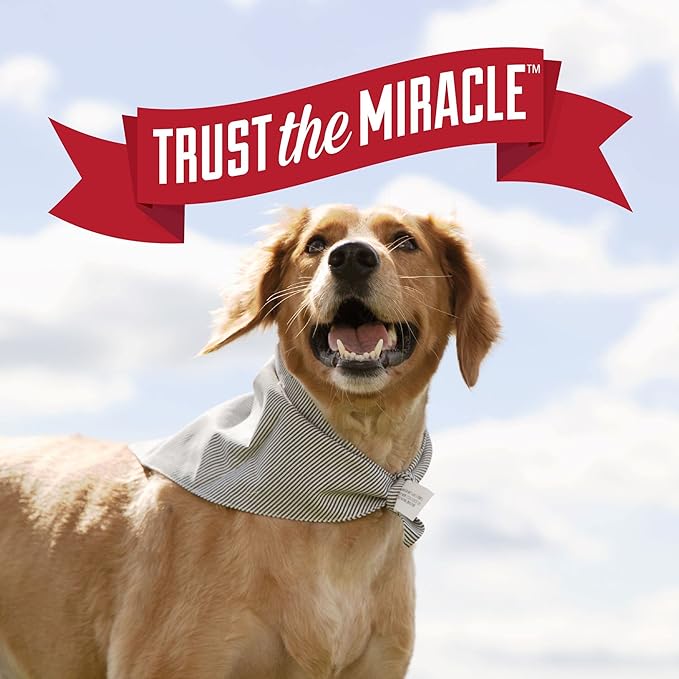Nature’s Miracle Urine Destroyer Plus for Dogs, Enzymatic Formula Tough on Strong Cat Urine And The Yellow Sticky Residue, 1 Gal