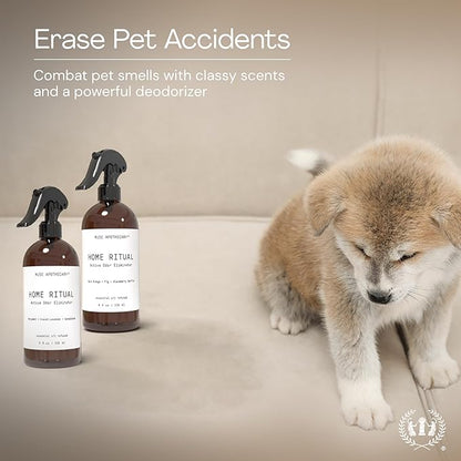 Muse Apothecary Home Ritual Active Odor Eliminator Spray - Furniture Deodorizer Spray & Bathroom Odor Eliminator for Home - Essential Oil Air Freshener - 4oz, Cara Orange + Fig + Blackberry Vanilla