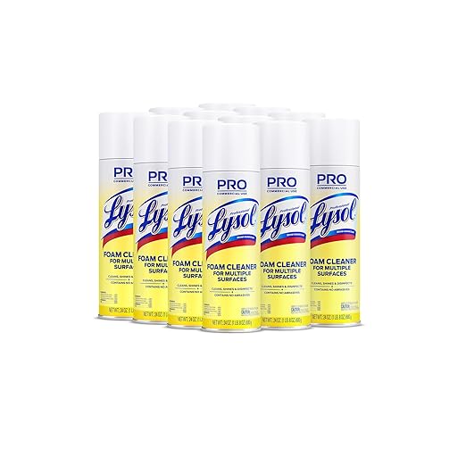 Lysol Professional Foam Cleaner for Multiple Surfaces, 24 Ounce