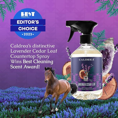 Caldrea Multi-surface Countertop Spray Cleaner, Made with Vegetable Protein Extract, Lavender Cedar Leaf, 16 oz, 3 Pack