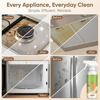 Electrolyzed Ion Kitchen Cleaner Spray,Electrolyzed Ion Kitchen Appliance Cleaner for Hold, Oven, Stove, Range Hood, Easy Cleaning Household Items (1PCS)