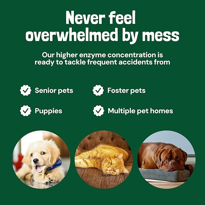 Sunny & Honey Turbo Pet Stain and Odor Remover - 40% More Enzymes - Enzyme Cleaner for Dog Urine and Poop on Carpets and Furniture - Pet Carpet Cleaner Spray (32fl oz Mint)